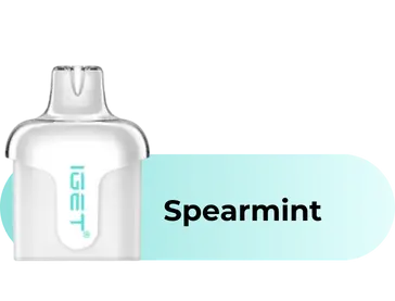 IGET Halo Prefilled Pod 3000 Puffs – Spearmint